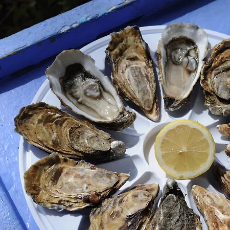 Prázdninový areál Arc En Ciel Oleron Saint-Trojan-les-Bains