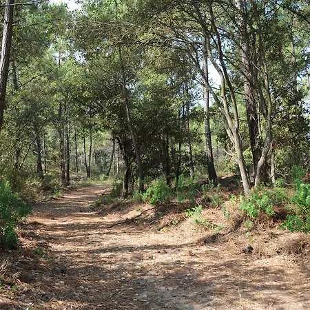 Arc En Ciel Oleron 3*