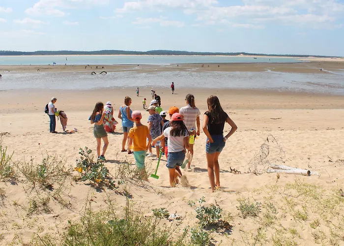 Parque de vacaciones Club Vacances Bleues Grand Air Oléron