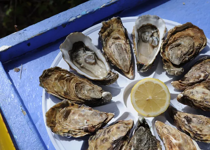 Parque de vacaciones Club Vacances Bleues Grand Air Oléron Saint-Trojan-les-Bains