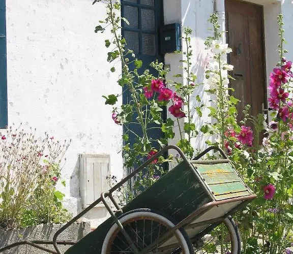 Club Vacances Bleues Grand Air Oléron 3*