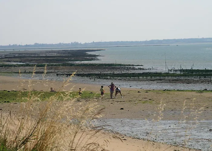 Parque de vacaciones Club Vacances Bleues Grand Air Oléron