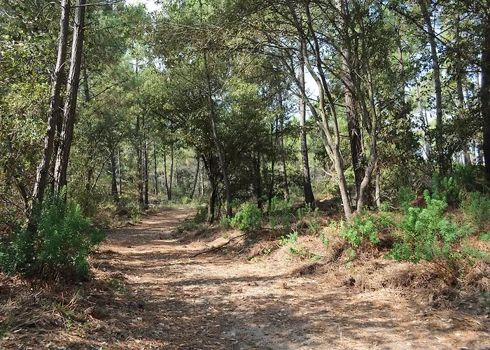 Club Vacances Bleues Grand Air Oléron 3*