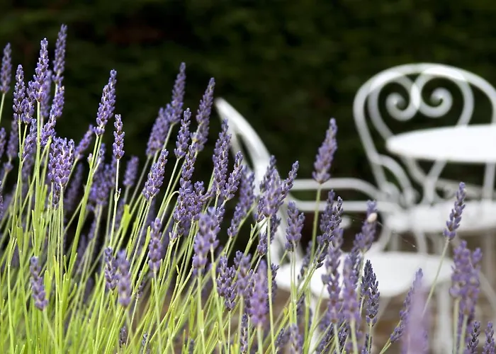 Club Bleues Grand Air Oleron Kompleks wypoczynkowy 3*