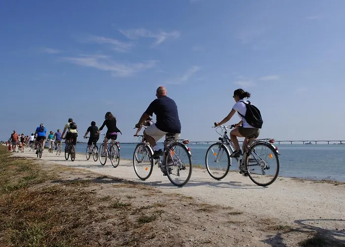 Parque de vacaciones Club Vacances Bleues Grand Air Oléron